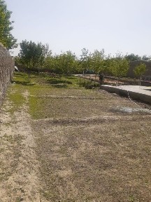 Самаркандская область, Самарканд