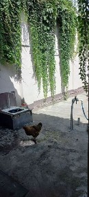 Ташкентская область, Ташкент, Яшнабадский район