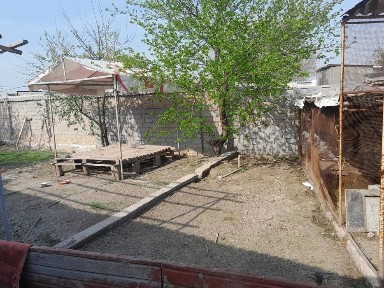 Ташкентская область, Зангиата