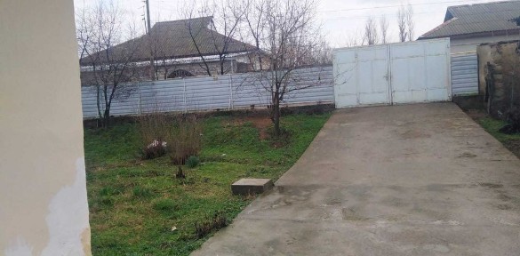 Ташкентская область, Нурафшан (Тойтепа)