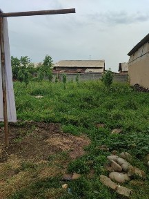 Ташкентская область, Кибрай