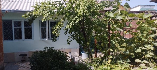 Ташкентская область, Ташкент, Мирзо-Улугбекский район