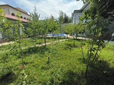 Ташкентская область, Ташкент, Мирзо-Улугбекский район