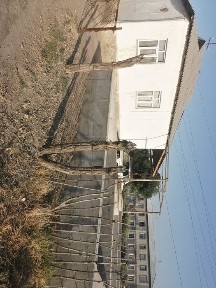 Сырдарьинская область, Гулистан