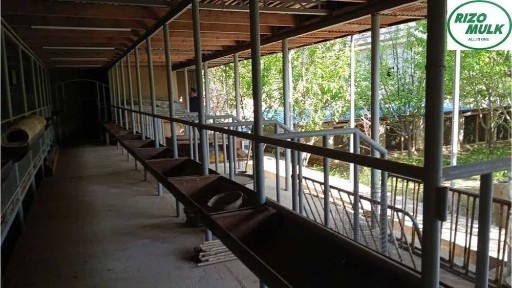 Ташкентская область, Назарбек