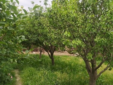 Ташкентская область, Ташкент, Яшнабадский район