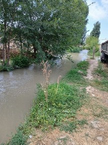Ташкентская область, Ташкент, Бектемирский район