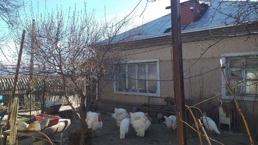 Ташкентская область, Ташкент, Чиланзарский район