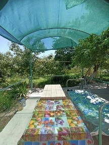 Навоийская область, Навои