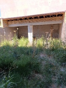 Ташкентская область, Ташкент, Юнусабадский район