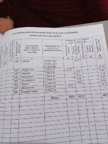 Ташкентская область, Янгиюль