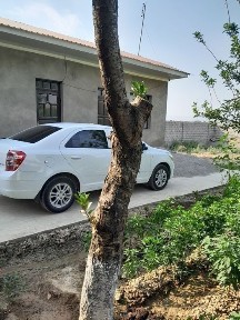 Ташкентская область, Искандар