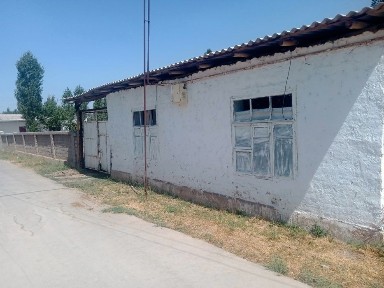 Ташкентская область, Нурафшан (Тойтепа)