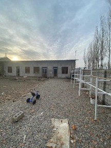 Ташкентская область, Нурафшан (Тойтепа)