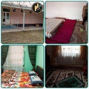 Ташкентская область, Чиназ