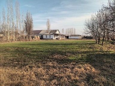 Ташкентская область, Янгиюль