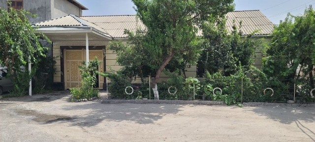 Domni puliga hovli shoshilib qoling