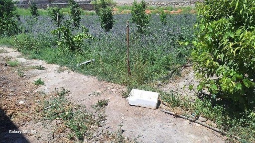 Бухарская область, Каган