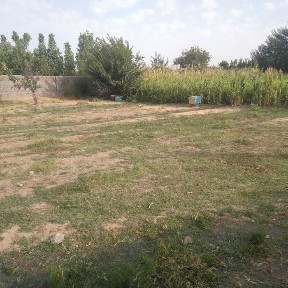 Кашкадарьинская область, Китаб