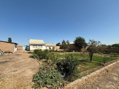 Кашкадарьинская область, Карши