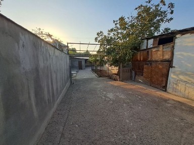 Ташкентская область, Алмалык