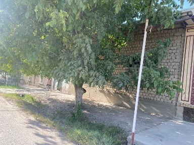 Самаркандская область, Самарканд