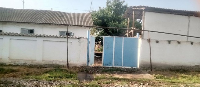 Ташкентская область, Чиназ