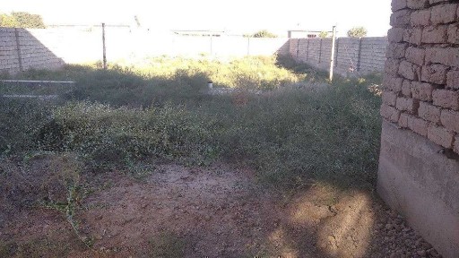 Кашкадарьинская область, Карши