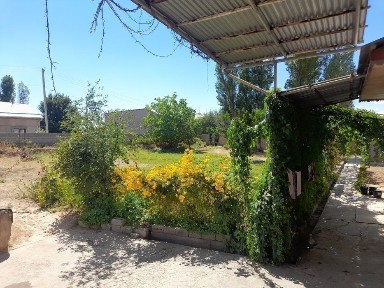 Ташкентская область, Ташкент, Юнусабадский район