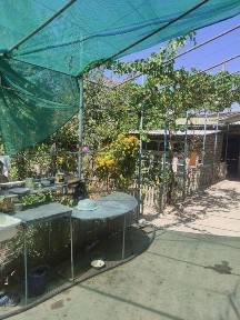 Навоийская область, Навои