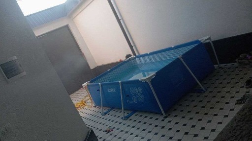 Ташкентская область, Ташкент, Бектемирский район