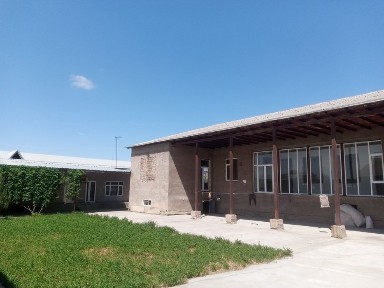 Ташкентская область, Нурафшан (Тойтепа)