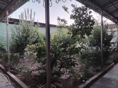 Ташкентская область, Келес