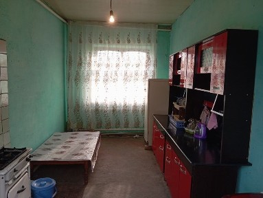 Ташкентская область, Нурафшан (Тойтепа)