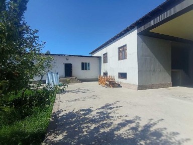 Ташкентская область, Нурафшан (Тойтепа)