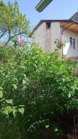 Навоийская область, Навои