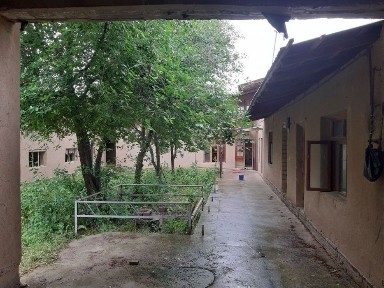 Ташкентская область, Янгибазар