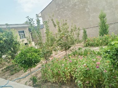 Ташкентская область, Ташкент, Сергелийский район