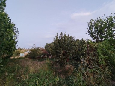 Ташкентская область, Искандар