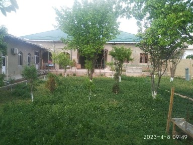 Кашкадарьинская область, Карши