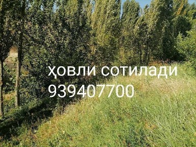 Срошна Боғ ҳовли сотилади дача боб