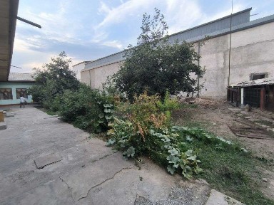 Ташкентская область, Ташкент, Мирзо-Улугбекский район