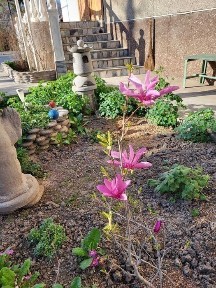 Ташкентская область, Ташкент, Яккасарайский район