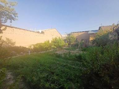 Самаркандская область, Каттакурган