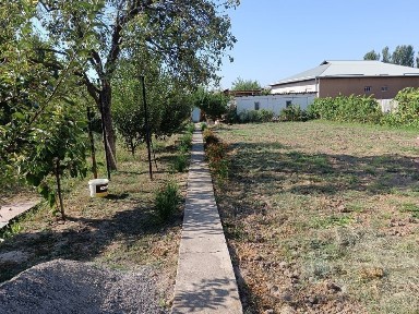 Ташкентская область, Кибрай