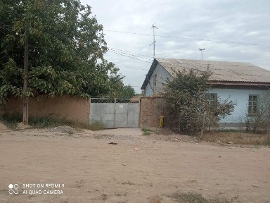 Ташкентская область, Янгиюль