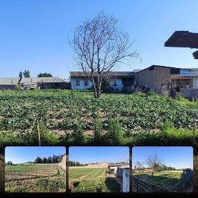 Ташкентская область, Янгиюль