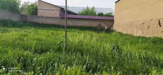 Ташкентская область, Кибрай