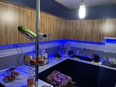 Ташкентская область, Ташкент, Сергелийский район