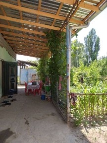 Ташкентская область, Янгибазар